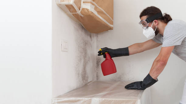 Professional Bathroom Mold Removal technician working in West Chicago, IL