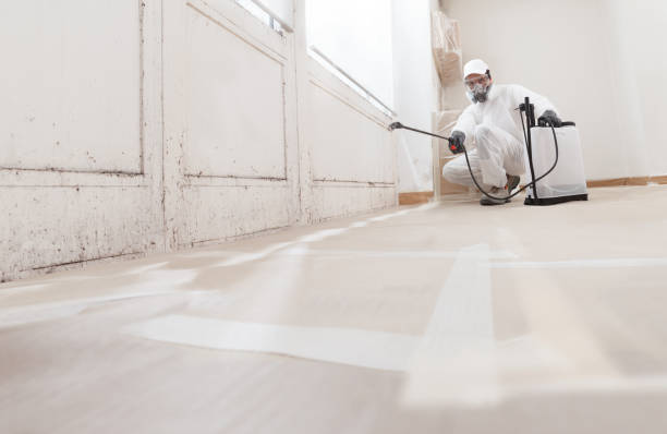 24/7 Emergency Bathroom Mold Removal experts in West Chicago, IL